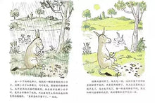 Load image into Gallery viewer, 驴小弟变石头 Sylvester and The Magic Pebble