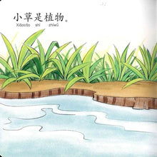 Load image into Gallery viewer, 红蜻蜓幼儿学句型 Odonata Learn Sentences Series