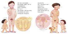 Load image into Gallery viewer, 小鸡鸡的故事 The Story of the Little Pee-pee