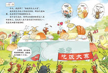 Load image into Gallery viewer, 苍蝇的日记 Diary of a Fly