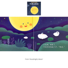 Load image into Gallery viewer, 爱的感知·亲子图画书(共16册)A Look At Love Series (Set of 16 volumes)