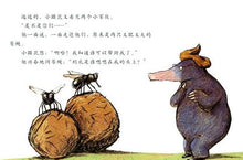 Load image into Gallery viewer, 是谁嗯嗯在我的头上  The Story of the Little Mole Who Went in Search of Whodunit
