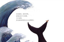 Load image into Gallery viewer, 小海螺和大鲸鱼 The Snail and the Whale (AU)