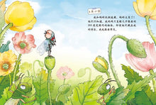 Load image into Gallery viewer, 苍蝇的日记 Diary of a Fly