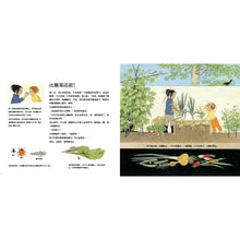 Load image into Gallery viewer, 它们是怎么长出来的?How do they grow?