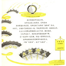 Load image into Gallery viewer, 生命的故事The Story Of Life