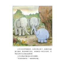 Load image into Gallery viewer, 大象小不点(套装全4册)Little Elephant (Set of 4)