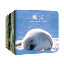 Load image into Gallery viewer, 我的第一套自然认知书(第一辑,全20册) My First Set of Nature Books (Series 1, 20 books) (AU)