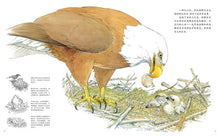 Load image into Gallery viewer, 感悟自然系列(精装5册) Sentimental Nature Series (Set of 5)