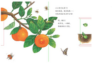 Load image into Gallery viewer, 小种子,快长大(水果篇)Grow Up Fast , Little Seed
