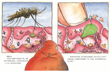 Load image into Gallery viewer, 肚子里有个火车站+牙齿大街的新鲜事+皮肤国的大麻烦 (套装3册) The Stomach Has A Railway Station+Tooth Street+Skin In Big Trouble