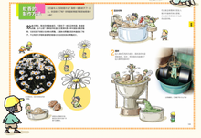 Load image into Gallery viewer, 身边的科学 亲子互动儿童生活大百科(大合集共三册)Science Around Us (Set of 3)