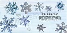 Load image into Gallery viewer, 雪花的故事 The Story of Snow (AU)