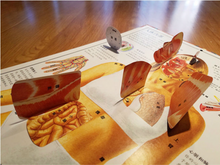 Load image into Gallery viewer, 人体绘本 Human Body Painting (AU)