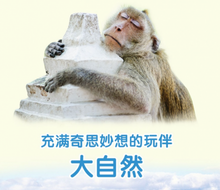 Load image into Gallery viewer, 我的第一套自然认知书(第一辑,全20册) My First Set of Nature Books (Series 1, 20 books)