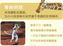 Load image into Gallery viewer, 我的第一套自然认知书(第一辑,全20册) My First Set of Nature Books (Series 1, 20 books)