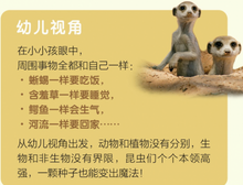 Load image into Gallery viewer, 我的第一套自然认知书(第一辑,全20册) My First Set of Nature Books (Series 1, 20 books)