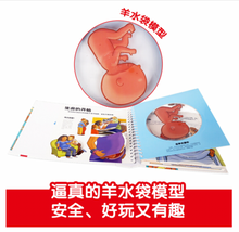 Load image into Gallery viewer, 我们的身体(学前儿童生理启蒙必备) Our Body