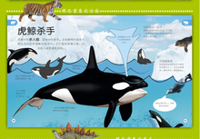 Load image into Gallery viewer, 儿童幼儿认知百科全书科(全3册) My Encyclopedia of Very Important Things/Animals/Dinosaurs (Set of 3)