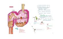Load image into Gallery viewer, 便便工厂+大脑旅馆(小猛犸童书) The Poop Factory And The Brain Hotel