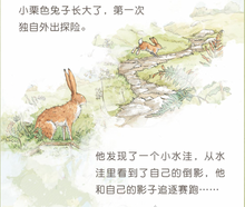 Load image into Gallery viewer, 猜猜我有多爱你 你愿意做我的朋友吗?Will You Be My Friend