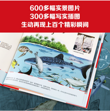 Load image into Gallery viewer, 长卷上的万物简史 A Short History Of Everything On a Long Scroll (Set of 9 books)