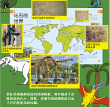 Load image into Gallery viewer, DK幼儿百科全书--那些重要的恐龙My Encyclopedia of Very Important Dinosaurs