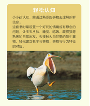 Load image into Gallery viewer, 我的第一套自然认知书(第一辑,全20册) My First Set of Nature Books (Series 1, 20 books)