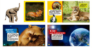 美国国家地理儿童小百科 探索版 中英文双语读物（套装共8册）National Geographic Children's Encyclopedia Explore Edition Chinese and English bilingual books (set of 8 volumes)