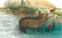 Load image into Gallery viewer, 非洲有没有小熊 Are There Any Cubs In Africa?