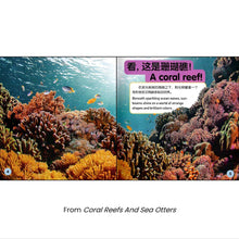 Load image into Gallery viewer, 美国国家地理儿童小百科 中英文双语读物(套装共6册)National Geographic Children's Encyclopedia, Chinese and English bilingual books (set of 6 volumes)