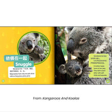 Load image into Gallery viewer, 美国国家地理儿童小百科 中英文双语读物(套装共6册)National Geographic Children's Encyclopedia, Chinese and English bilingual books (set of 6 volumes)