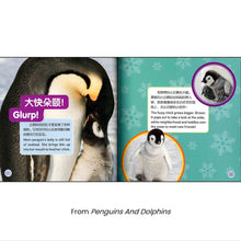 Load image into Gallery viewer, 美国国家地理儿童小百科 中英文双语读物(套装共6册)National Geographic Children's Encyclopedia, Chinese and English bilingual books (set of 6 volumes)