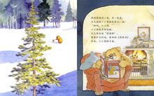 Load image into Gallery viewer, 你睡不着吗?Can't You Sleep, Little Bear?