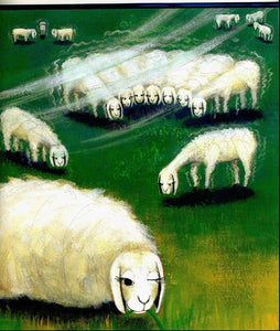 有个性的羊 The Sheep With The Big Personality