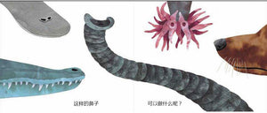 *New Stocks In* 这样的尾巴可以做什么 What Do You Do With a Tail Like This?