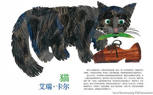 你最喜欢什么动物？What's Your Favourite Animal ?