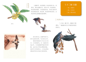 这就是二十四节气  4册 This Is The 24 Solar Terms, 4 volumes