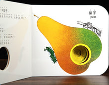 Load image into Gallery viewer, 奇妙洞洞书系列1-认知篇（全6册）Wonderful Books with Holes Series 1 (Set of 6)
