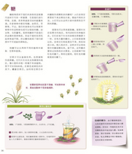 Load image into Gallery viewer, 大自然的珍贵礼物 The precious gift of nature
