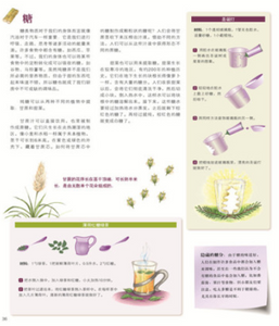 大自然的珍贵礼物 The precious gift of nature
