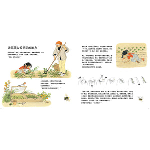 它们是怎么长出来的？How do they grow?