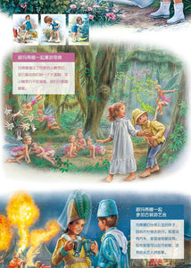 玛蒂娜故事书（套装全60册）Martine Story Books ( Set of 60 )
