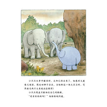 Load image into Gallery viewer, 大象小不点（套装全4册）Little Elephant (Set of 4)
