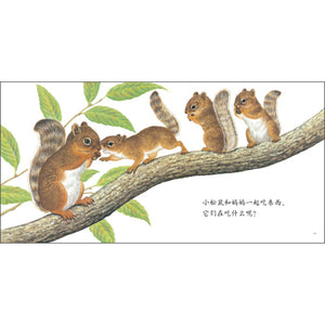 动物宝宝和妈妈（套装全7册）Animal babies and mothers (set of 7）