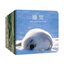 Load image into Gallery viewer, 我的第一套自然认知书（第一辑，全20册) My First Set of Nature Books (Series 1, 20 books) (AU)
