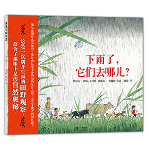 下雨了，它们去哪儿？It's raining, where are they going?