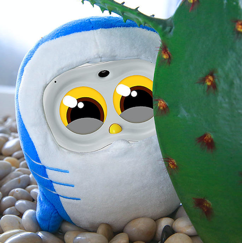 Shop Luka® – Luka Reads