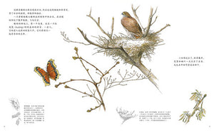 感悟自然系列（精装5册) Sentimental Nature Series (Set of 5)