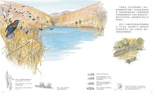 Load image into Gallery viewer, 感悟自然系列（精装5册) Sentimental Nature Series (Set of 5)
